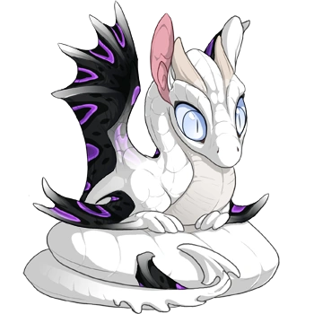 Amethyst Sarcophagus on a hatchling Spiral