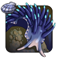 Bluespine Slug - Blue Dragon Snail