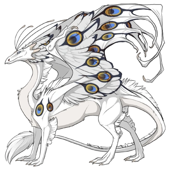 Metals Peacock on a male Skydancer