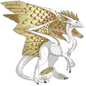 Sanddollar Edged on a female Wildclaw