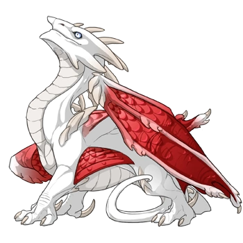 Strawberry Edged on a hatchling Ridgeback