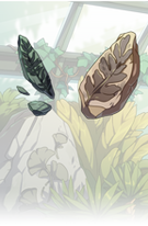 Fossilized Flora