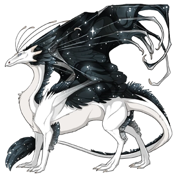 Obsidian Constellation on a male Skydancer