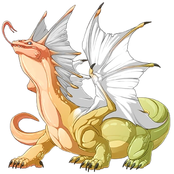 Peach Iridescent on a male Bogsneak