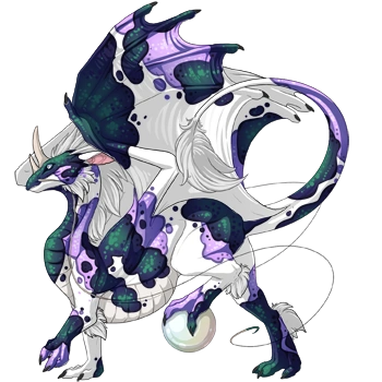 Eggplant Koi on a male Pearlcatcher