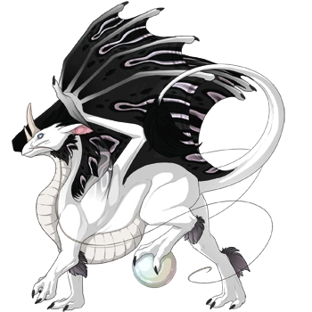 Platinum Sarcophagus on a male Pearlcatcher