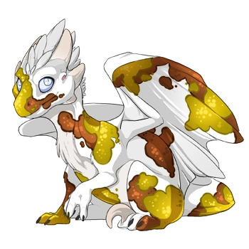 Honey Koi on a hatchling Wildclaw