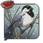 Black Capped Chickadee - Snow Streak