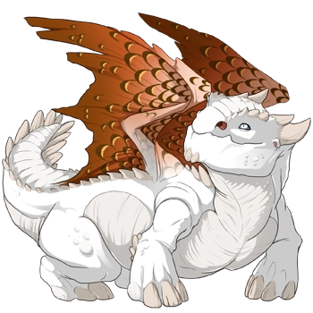 Orange Edged on a female Snapper