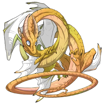 Gold Iridescent on a male Spiral