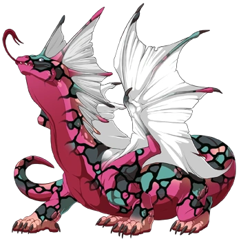 Watermelon Mosaic on a male Bogsneak