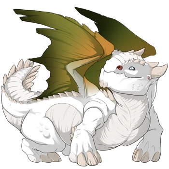 Crocodile Blend on a female Snapper