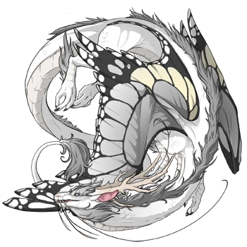 Moon Butterfly on a female Imperial