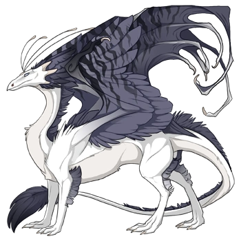 Gloom Safari on a male Skydancer