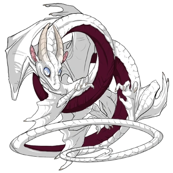 Wine Underbelly on a male Spiral