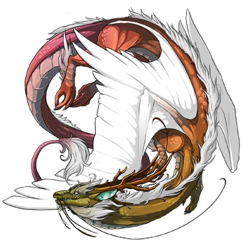 Copper Iridescent on a female Imperial