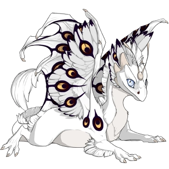 Sanguine Peacock on a hatchling Skydancer