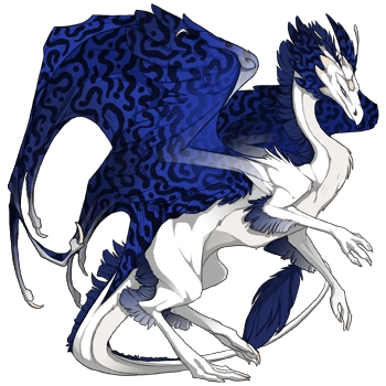 Navy Hypnotic on a female Skydancer