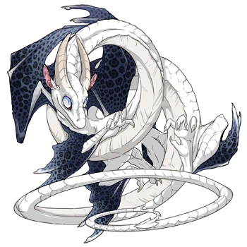 Overcast Rosette on a male Spiral