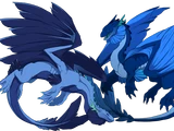 Fathom Dragon