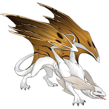 Gold Noxtide on a male Mirror