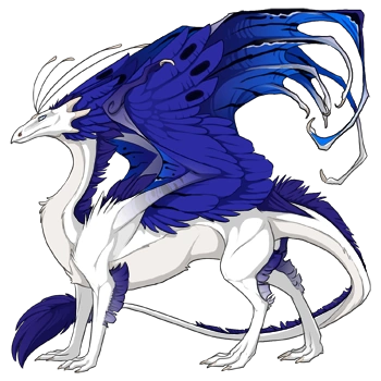 Indigo Noxtide on a male Skydancer