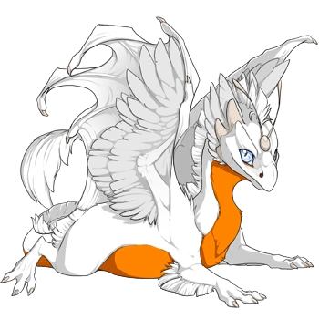 Saffron Underbelly on a hatchling Skydancer