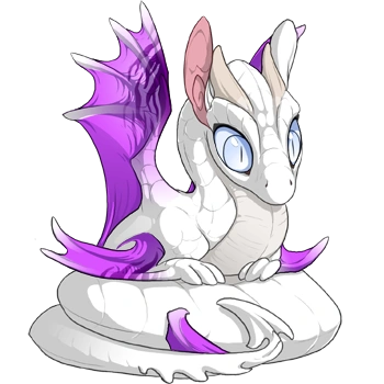 Orchid Safari on a hatchling Spiral