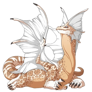 Cream Jaguar on a female Bogsneak