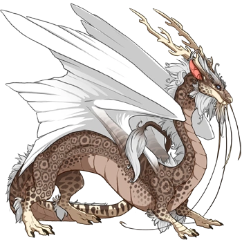 Latte Jaguar on a male Imperial