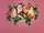 Brand New Kind of Christmas Song