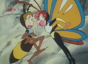 Sarah butterfly