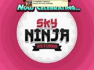 Sky Ninja Returns