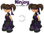 Ninjoy clean