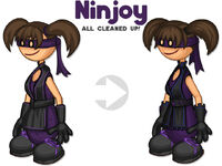 Ninjoy clean