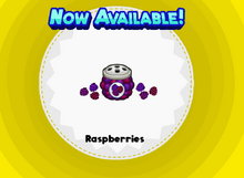 Raspberries PHD.png