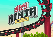 Sky-Ninja