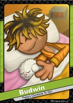 BudwinFlipdeck.jpg (54 kB) 242 - Budwin