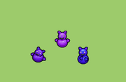 Wildberry Derps.png
