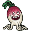 Radish