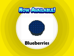 COBBblueberries