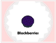 COBBblackberries