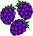 Blackberries Transparent