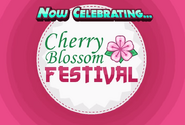 Cherry Blossom Festival