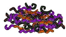 Spookyslaw.png