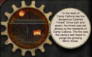 Hatchwood Wilds: Charred Forest