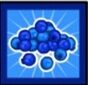 Blueberries.jpg
