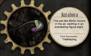 Rare Mimics: Aurabora
