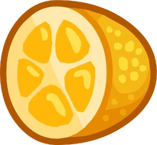 Kumquat