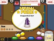 Special prize